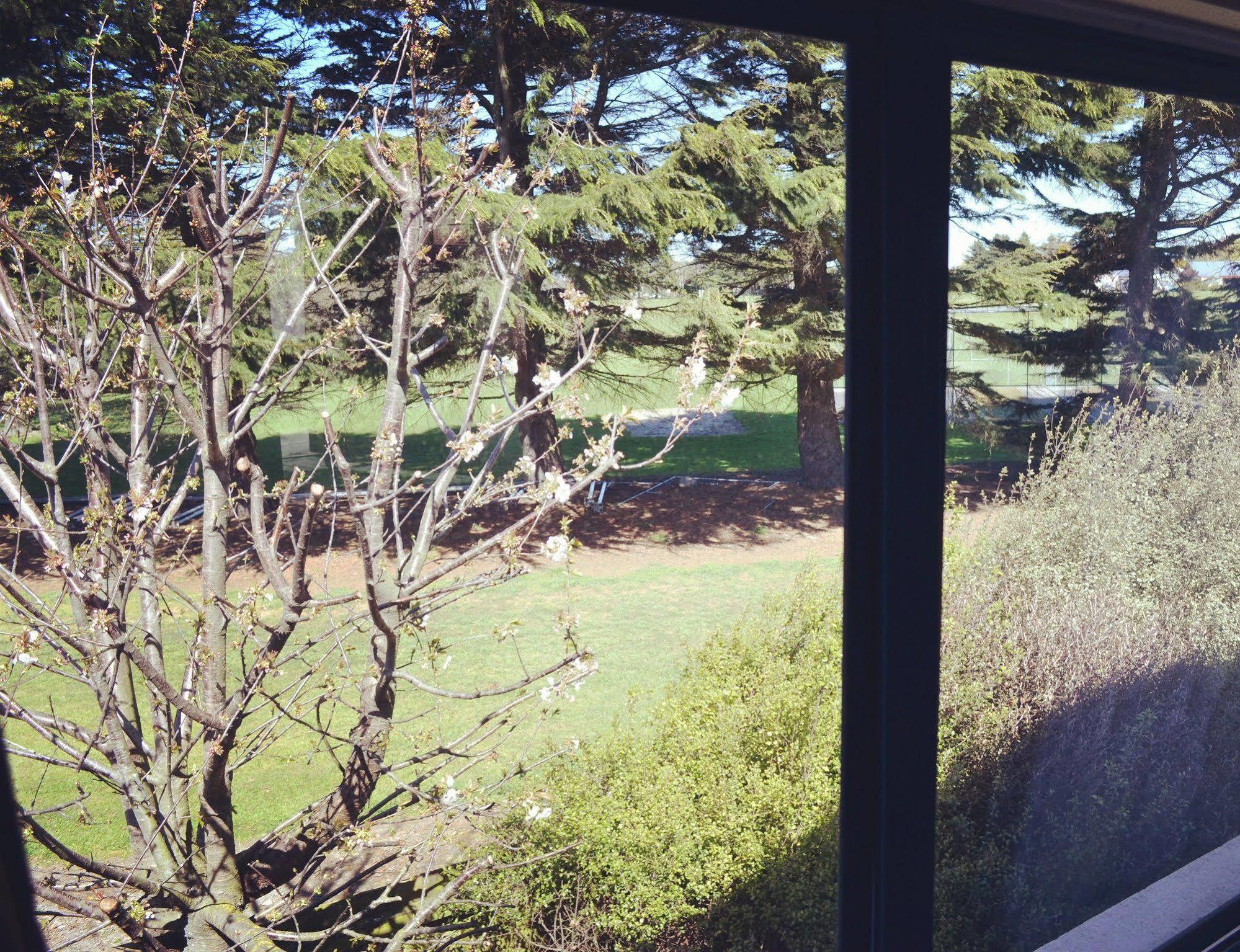 Bush Inn Court Motel Christchurch Esterno foto